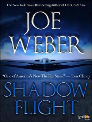 Book cover of Shadow Flight