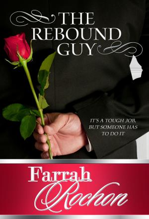 Book cover of The Rebound Guy