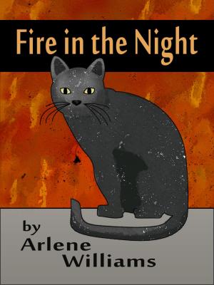 Book cover of A Fire in the Night
