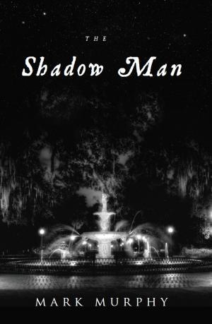 Cover of the book The Shadow Man by Jodi Lea Stewart