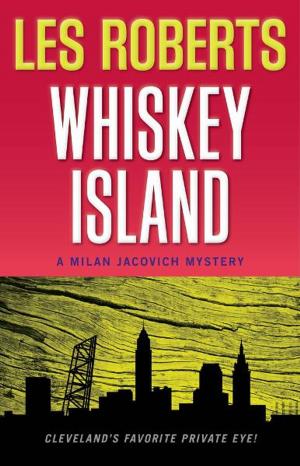 Book cover of Whiskey Island