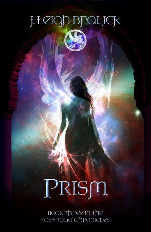 Book cover of Prism
