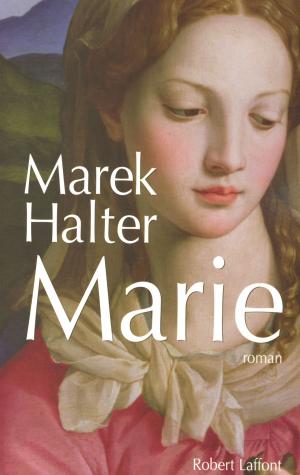 Cover of the book Marie by Lionel DUROY
