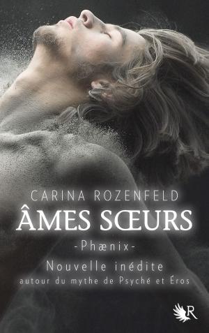 Book cover of Phaenix - Âmes soeurs