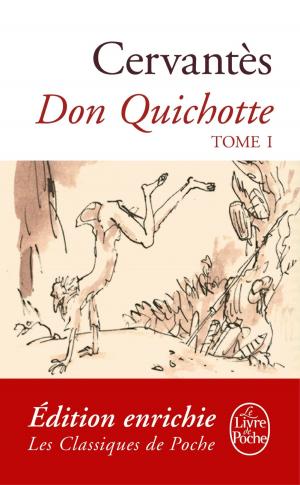 Cover of the book Don Quichotte ( Don Quichotte, Tome 1) by Israël Joshua Singer