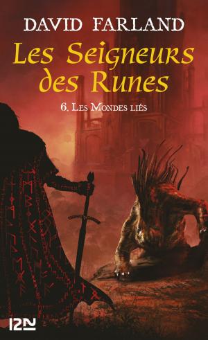 Book cover of Les Seigneurs des Runes - Tome 6