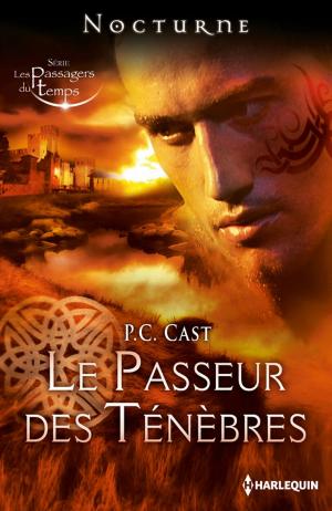 Cover of the book Le passeur des ténèbres by Kady Cross