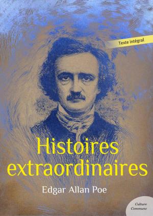 Cover of the book Histoires extraordinaires by Albert Russo