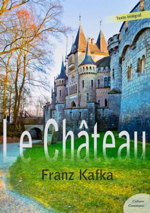 bigCover of the book Le Château by 