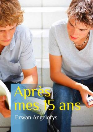 Cover of the book Après mes 15 ans by Jordan Béranger