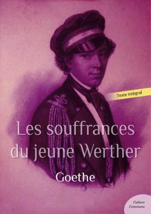 Cover of the book Les souffrances du jeune Werther by Johann Wolfgang von Goethe