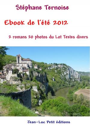 Cover of the book Ebook de l'été 2012 by Stéphane Ternoise