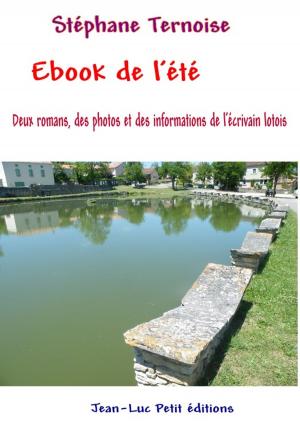 Cover of the book Ebook de l'été by Stéphane Ternoise, Kate-Marie Glover