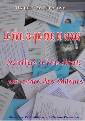 Cover of Le pilon, ce que nous en savons