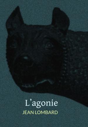 Book cover of L'agonie