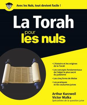 Cover of the book La Torah pour les Nuls by Ken COOK, Laurie ULRICH FULLER, Doug LOWE, Greg HARVEY, Dan GOOKIN