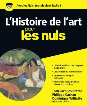 Cover of the book Histoire de l'art Pour les Nuls by Véronique LIÉGEOIS