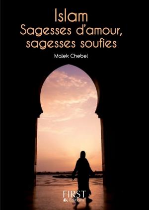 Cover of the book Petit Livre de - Islam : sagesses d'amour, sagesses soufies by Mel Stonely