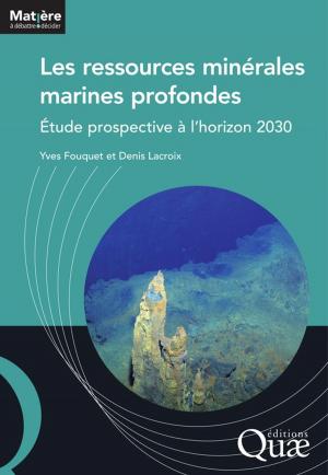 Cover of the book Les ressources minérales marines profondes by Eric Malézieux