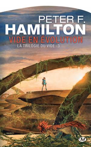 Cover of the book Vide en évolution by Mélanie Fazi