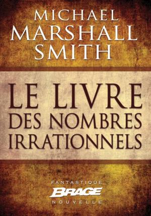 Cover of the book Le Livre des nombres irrationnels by Patrick Rothfuss