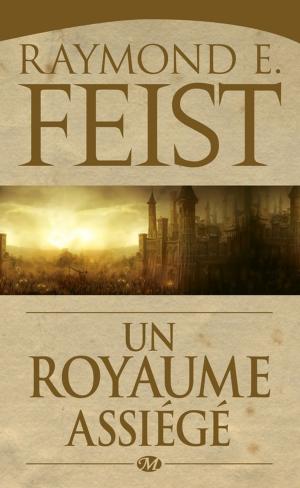 Cover of the book Un royaume assiégé by Slimane-Baptiste Berhoun, François Descraques