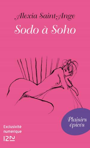 Cover of the book Sodo à Soho by Christian JOLIBOIS