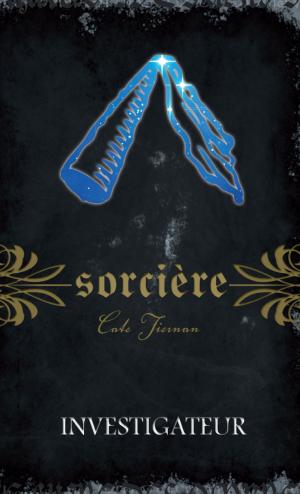 Cover of the book Sorcière by Simon Rousseau