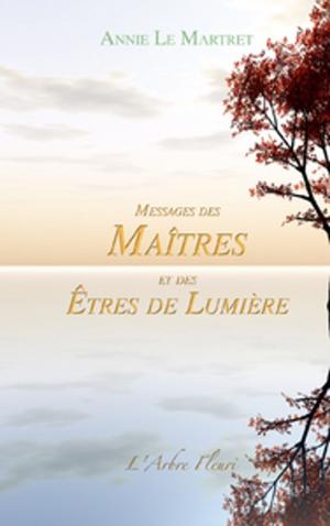 Book cover of Messages des Maîtres et des Êtres de Lumière
