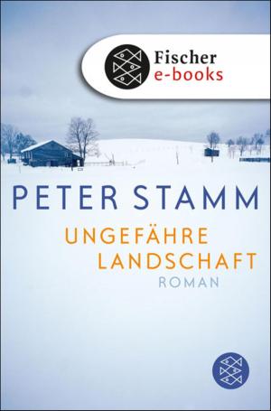 Cover of the book Ungefähre Landschaft by Kathrin Röggla