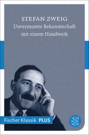 Cover of the book Unvermutete Bekanntschaft mit einem Handwerk by Klaus-Peter Wolf