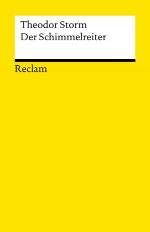 Cover of the book Der Schimmelreiter by Gotthold Ephraim Lessing