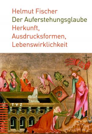 Cover of the book Der Auferstehungsglaube by Helmut Fischer