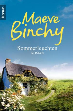 Cover of the book Sommerleuchten by Max Lerm