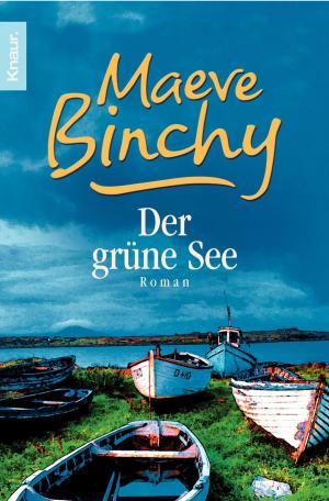 Cover of the book Der grüne See by Bernhard Moestl