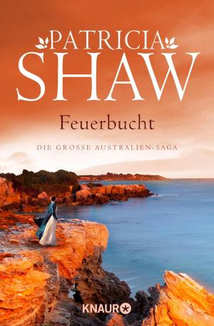 Cover of the book Feuerbucht by Douglas Preston, Lincoln Child