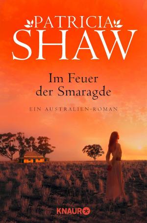 Cover of the book Im Feuer der Smaragde by Joanne Fedler