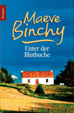 Cover of the book Unter der Blutbuche by Patrick Salmen