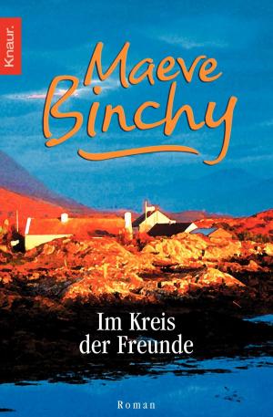 Cover of the book Im Kreis der Freunde by Iny Lorentz