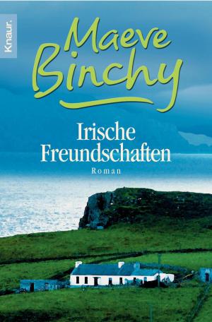 Cover of the book Irische Freundschaften by Val McDermid