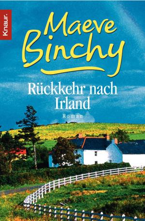 Cover of the book Rückkehr nach Irland by Marc Ritter