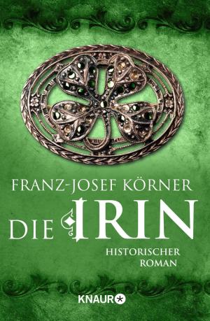 Cover of the book Die Irin by Sabine Ebert