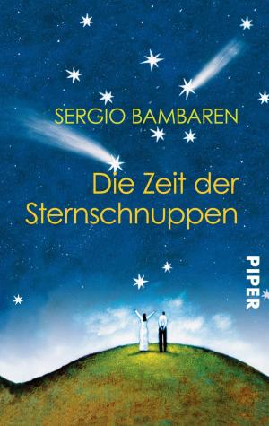 Cover of the book Die Zeit der Sternschnuppen by Markus Heitz