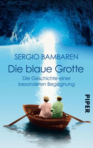 Cover of the book Die Blaue Grotte by Jennifer Estep