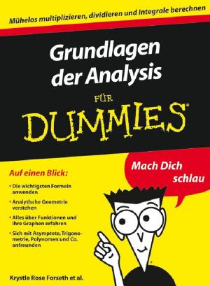 Book cover of Grundlagen der Analysis für Dummies