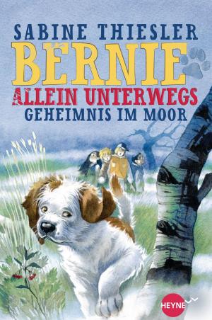 Book cover of Bernie allein unterwegs - Geheimnis im Moor