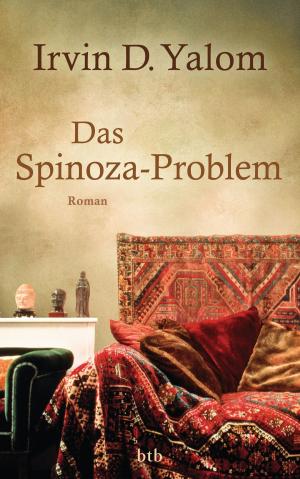 Book cover of Das Spinoza-Problem