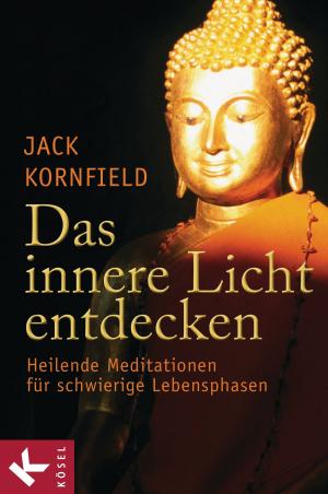 Cover of the book Das innere Licht entdecken by Papst Franziskus