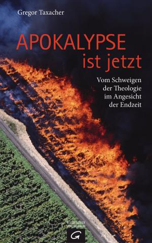 Cover of the book Apokalypse ist jetzt by Martin Buber