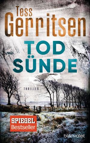 Book cover of Todsünde